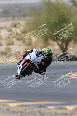 media/May-14-2023-SoCal Trackdays (Sun) [[024eb53b40]]/Turn 5 Tree of Life (1125am)/